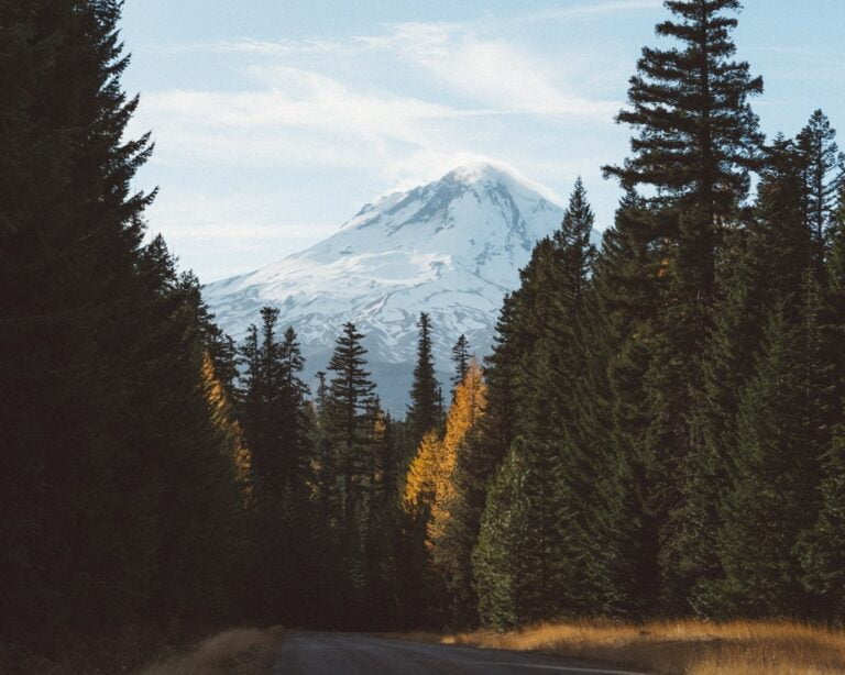 Oregon travels Mt. Hood National Forest