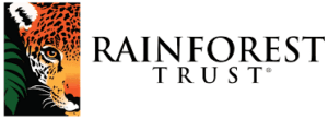rainforest_logo