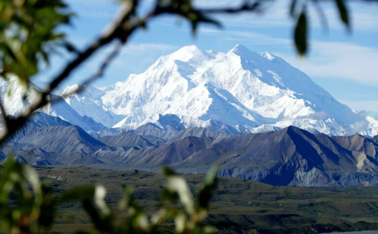 denali national park landscape