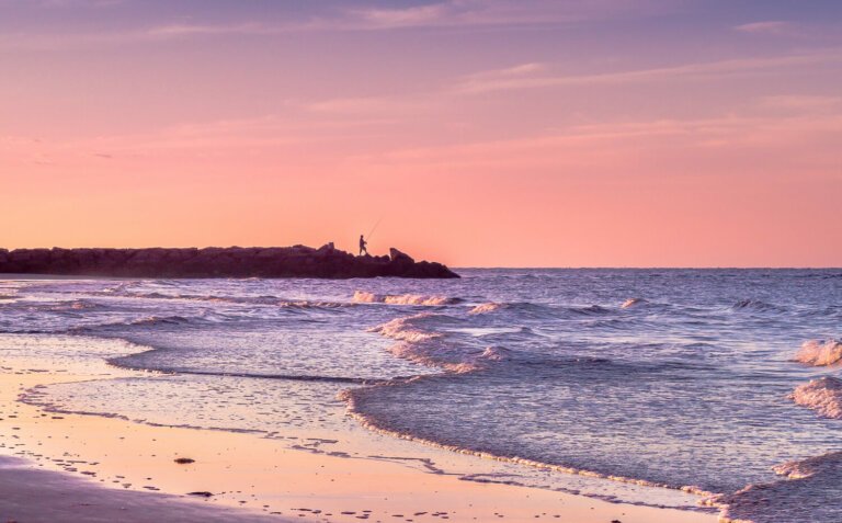 cape cod seashore