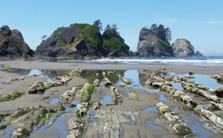 shi shi beach stones