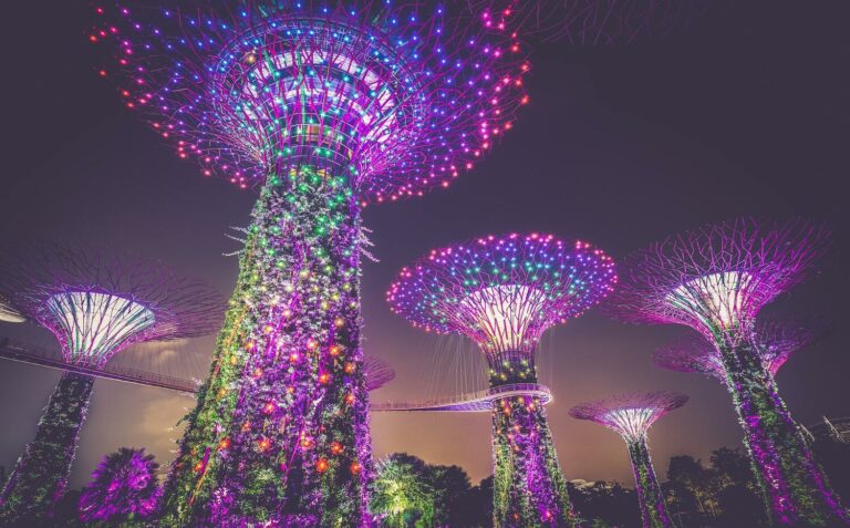 gardens by the bay singapore