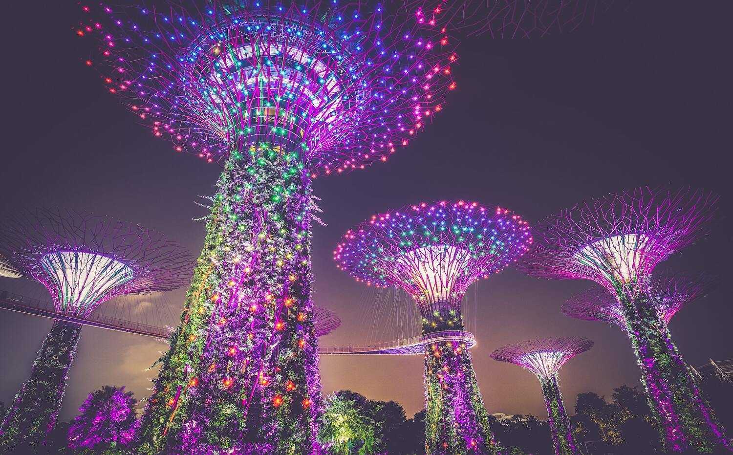 gardens by the bay singapore