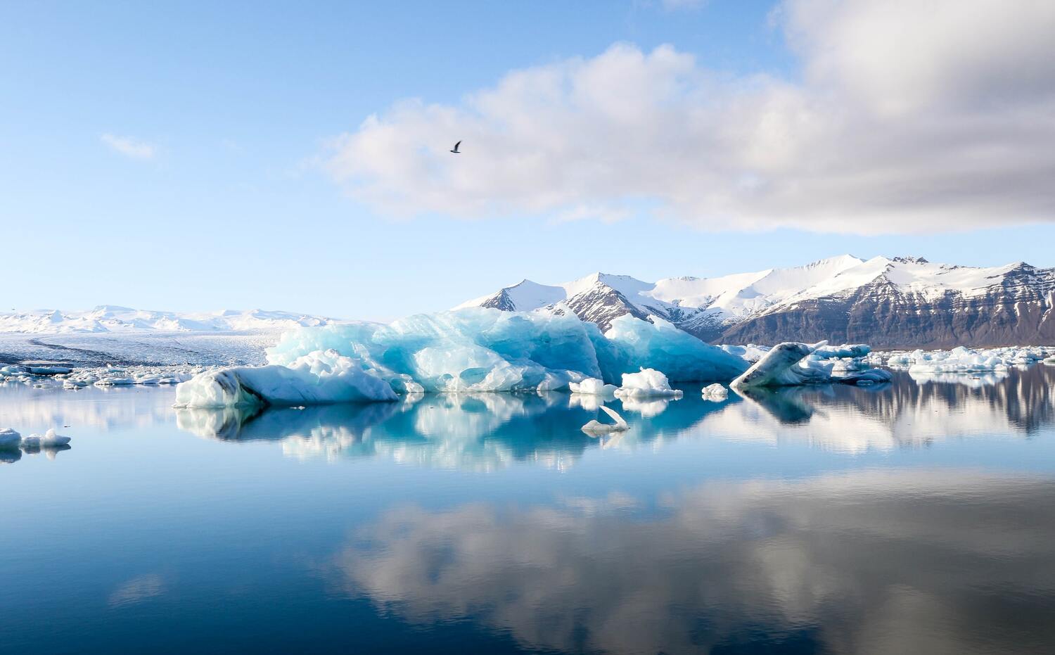 jökulsárlón iceland