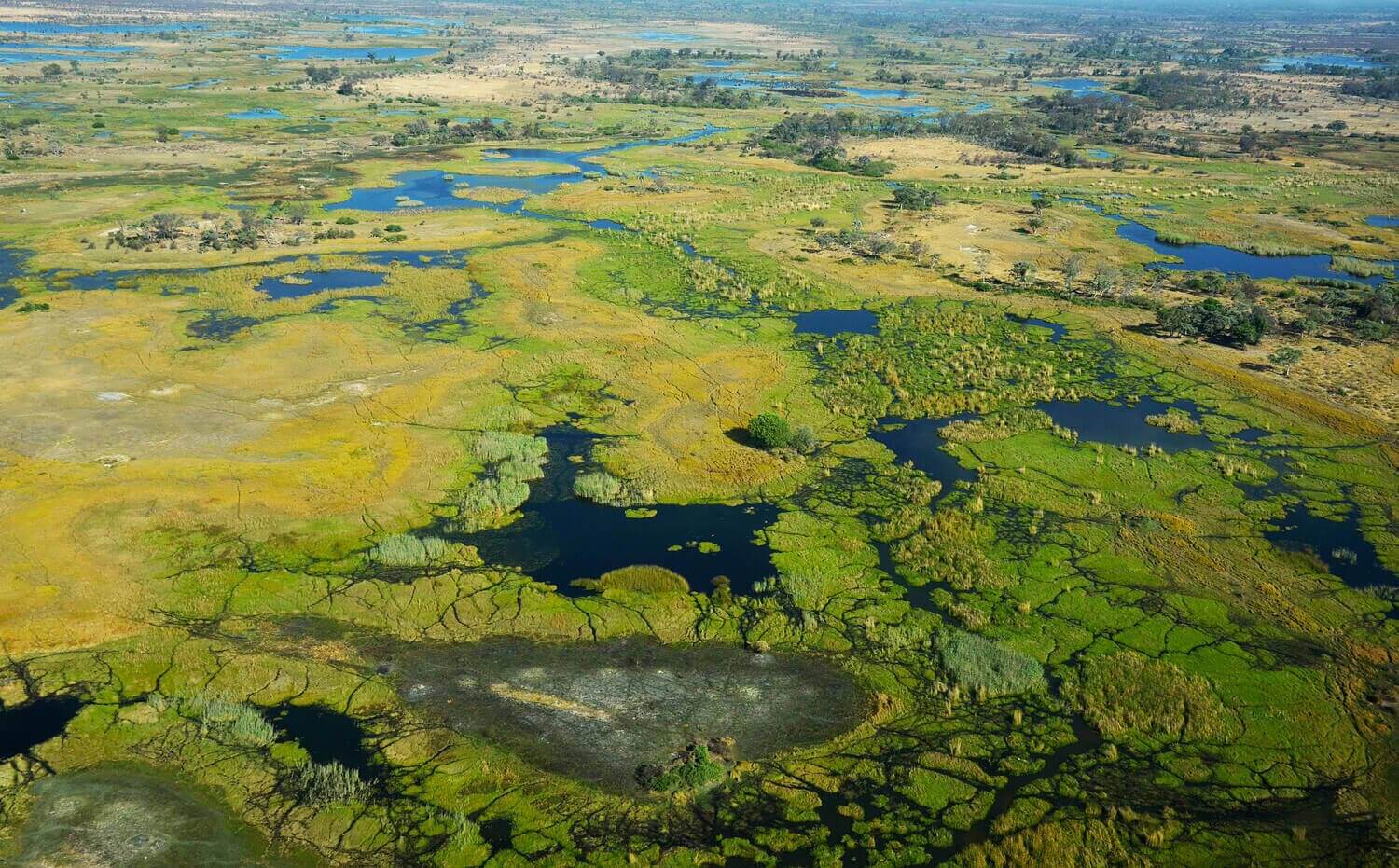 okavango delta botswana