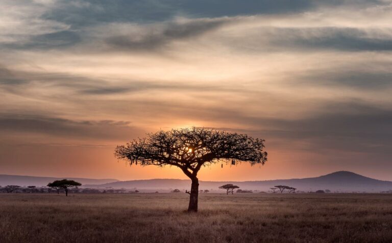 serengeti national park